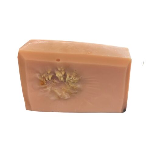 Honey Vanilla Chrysanthemum